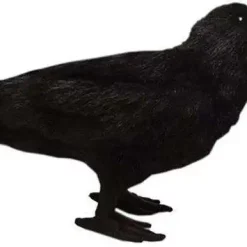 Best deal ⭐ Game of Thrones 3 Eyed Raven Plush 😉