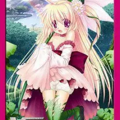 Hot Sale ⭐ Cardfight Vanguard Trading Card Game Maiden of the Rainbow Card Sleeves [JAPANESE] 🛒